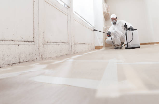 24/7 Emergency Mold Cleanup experts in Wilmington, MA