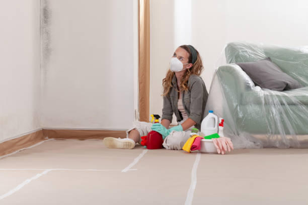 Reliable Mold Cleanup contractor in Wilmington, MA by WQB Mold Removal